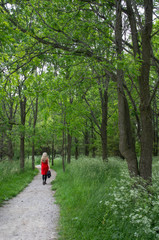Woman in Red Dress Walking Along Pathway in Spring