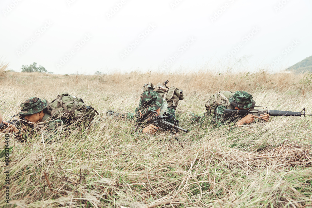 Wall mural soldier hiding in bushes ready to shoot. ambush his ememy, ready his assault rifle. hiding below the