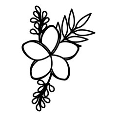 flower and leafs decorative icon vector illustration design