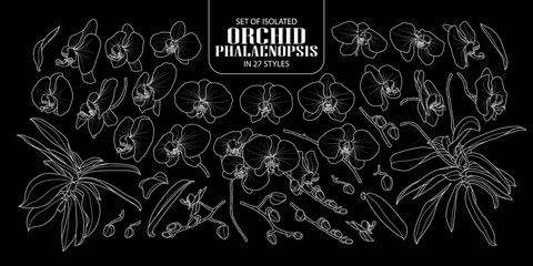 Set of isolated orchid in 27 styles. © Plawarn