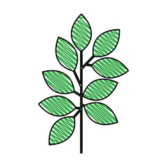branch with leafs decorative icon vector illustration design
