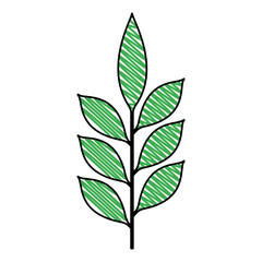branch with leafs decorative icon vector illustration design