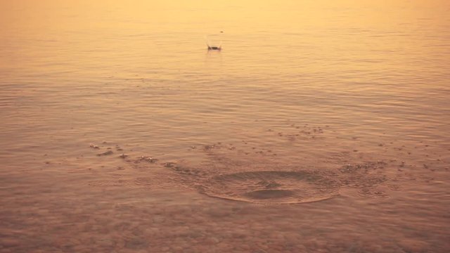 Slow Motion Stone Skipping On Water Surface.