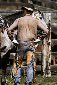 APRIL 22, 2017, RIDGWAY COLORADO: American Cowboys during cattle branding exchange words, at Centennial Ranch, Ridgway, Colorado- a cattle ranch owned by Vince Kotny