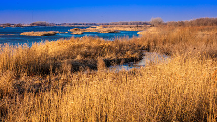 MARCH 8, 2017 - Grand Island, Nebraska -PLATTE RIVER, UNITED STATES - landscape of Platte River, Midwest.