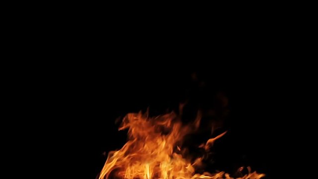 Real fire isolated on black background loop video