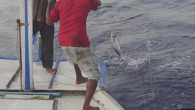Two Fishermen Bringing In A Big Dogtooth Tuna Onto The Deck Of A Fishing Boat In The Maldives. Slow Motion Shot.