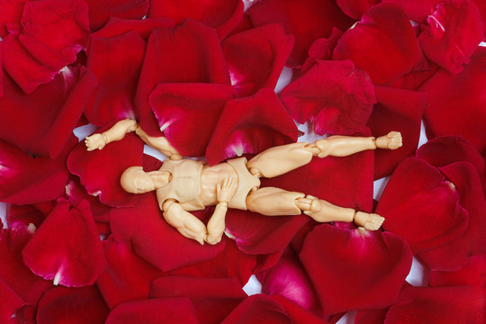 model man lying on red roser petals