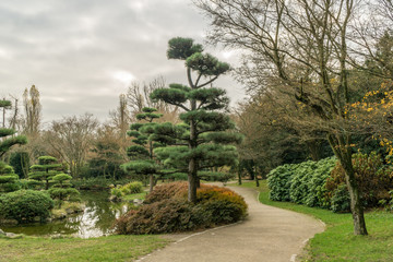 Fototapeta na wymiar Trees in park