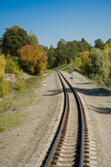 Railway in the forest of pines and penetrating rays of the sun in the summer