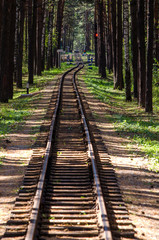 Fototapeta premium Railway in the forest of pines and penetrating rays of the sun in the summer