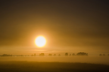 The disk of the sun rising in the early morning fog in rural areas