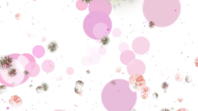 Pink_dot_BG