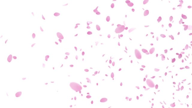 Sakura-1-base