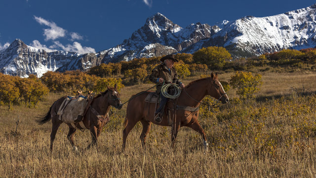 Older Cowboy leads packhorse across historic Last Dollar Ranch on Hastings Mesa, SW Colorado, San Juan Mountains