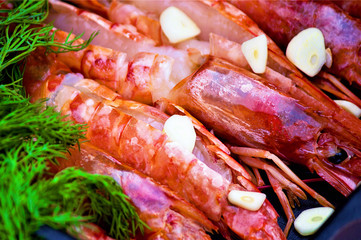 Norwegian lobster, also langoustine, scampi (lat.Nephrops norvegicus), raw in marinade with garlic and pesto sauce. Decorated with a sprig of dill. Ingredient for cooking. Dietary or vegetarian dish.