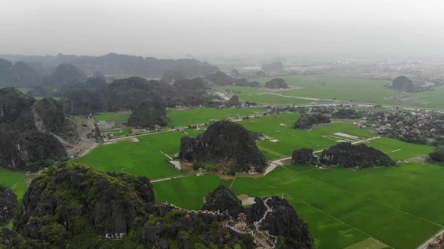 Rice fields with mountains
