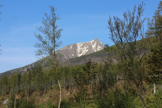 Slavkovsky peak in High Tatras, Slovakia 