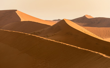 Fototapeta na wymiar Les dunes du Namib