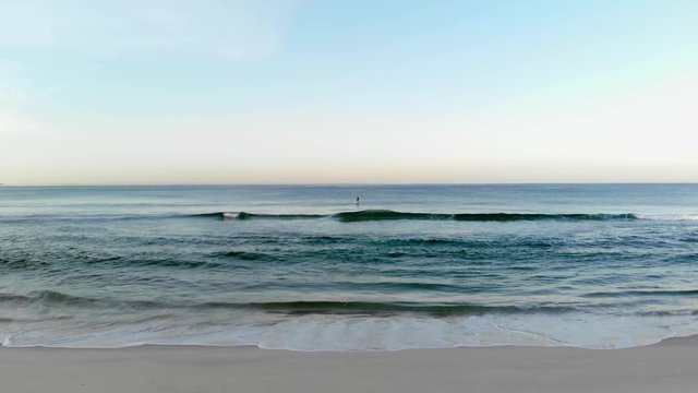 Drone footage of beach at sunrise with stand up padle riding at sea.