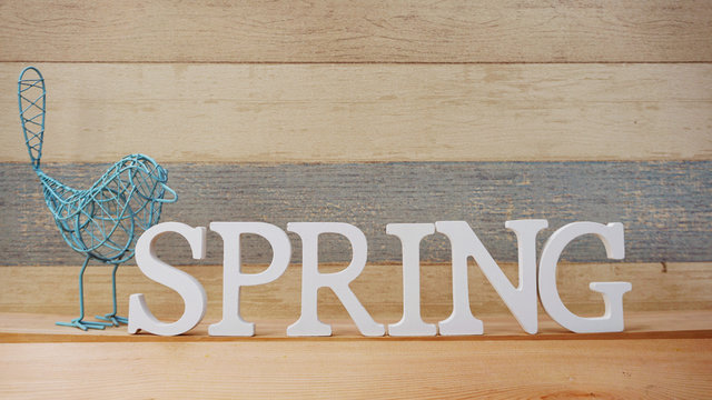 spring alphabet letter with space background
