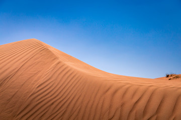 Fototapeta na wymiar Shadows and ripples on a sand dune ridge, in the desert by Al Wasil, Oman.