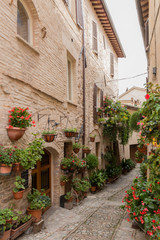 Fototapeta na wymiar A view of an alley decorated by many flowers in Spello, Umbria