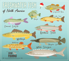 Freshwater Fish of North America