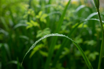 広島県 尾道　向島　風景