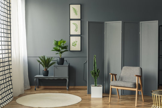 A chair standing in front of a decorative, grey screen next to a round rug on a wooden floor and a grey shelf with plants in vases in a botanic room interior