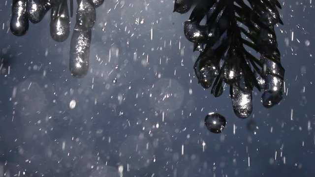 Big rain drops falling from fir needles and frozen icicles against blue sky background with lights in slow motion. Epic scene of wet evergreen forest. Magic closeup view of peaceful nature.
