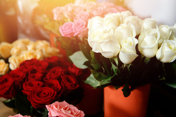 Close-up of flowers roses of white and red color.