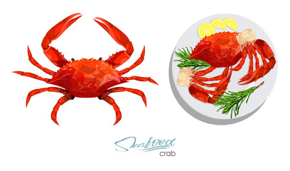 Crab isolated on white background. Meat crab with rosemary and lemon on the plate.Vector illustrationin cartoon style. Seafood product design. Edible sea food. Vector illustration