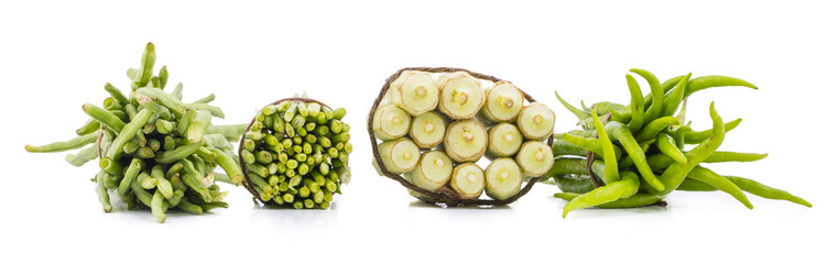 Group of Vegetables in Chili, Lady Finger, Green Bean or Cluster Bean isolated on White Background