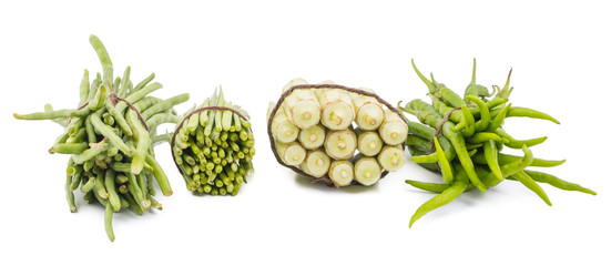 Group of Vegetables in Chili, Lady Finger, Green Bean or Cluster Bean isolated on White Background