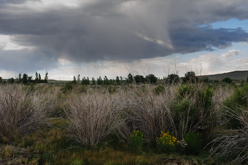 Threatening skies over mono lake, California, as an early evening thunderstorm is rolling in. Image...