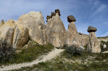 Monks valley (Pashabag), mushroom-shaped volcanic rocks in Cappadocia,famous hiking place,Turkey