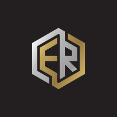 Initial letter ER, looping line, hexagon shape logo, silver gold color on black background