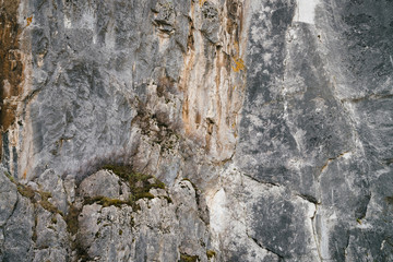 Beautiful rocky gray textured background with mosses and lichens. Surface mountain cliff close-up.