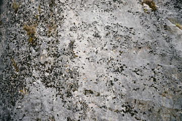 Beautiful rocky gray textured background with mosses and lichens. Surface mountain cliff close-up.