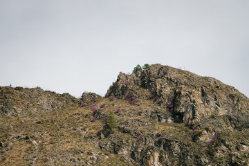 Beautiful rocky green mountain with greenery. Natural textured background with rock and sky.