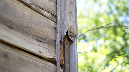 nail hooked old wooden wall