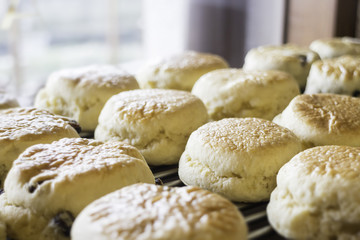Homemade fresh classic scone for sale