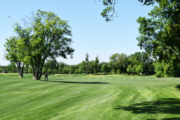 golf park in Ukraine