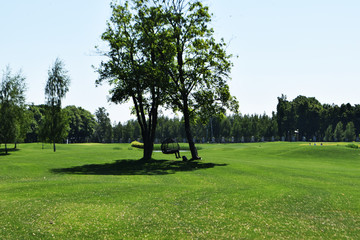 golf park in Ukraine