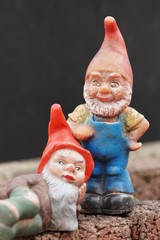 Gartenzwerge