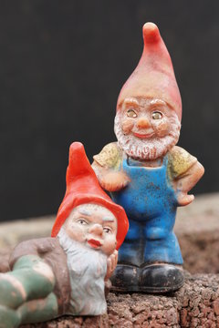 Gartenzwerge