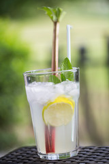 Mojito with rhubarb, summer drink, cocktail