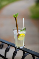 Mojito with rhubarb, summer drink, cocktail