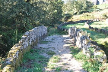 Roman Path